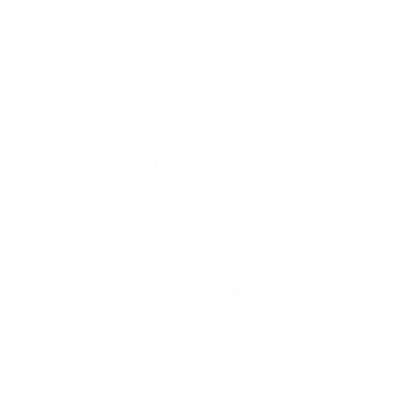 DNA Nexus Logo